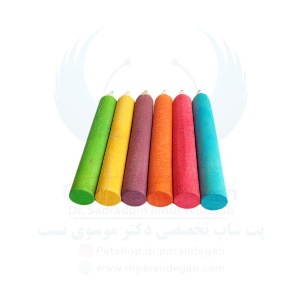 مداد رنگی طوطی - 6 عددی غول، سایت و پت شاپ پرندگان دکتر موسوی نسب